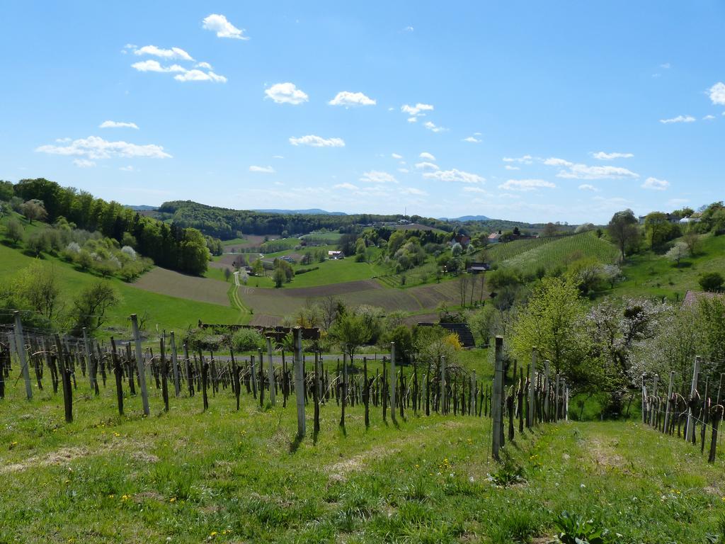 Weingarten-Resort Unterlamm Loipersdorf - Adults Only מראה חיצוני תמונה