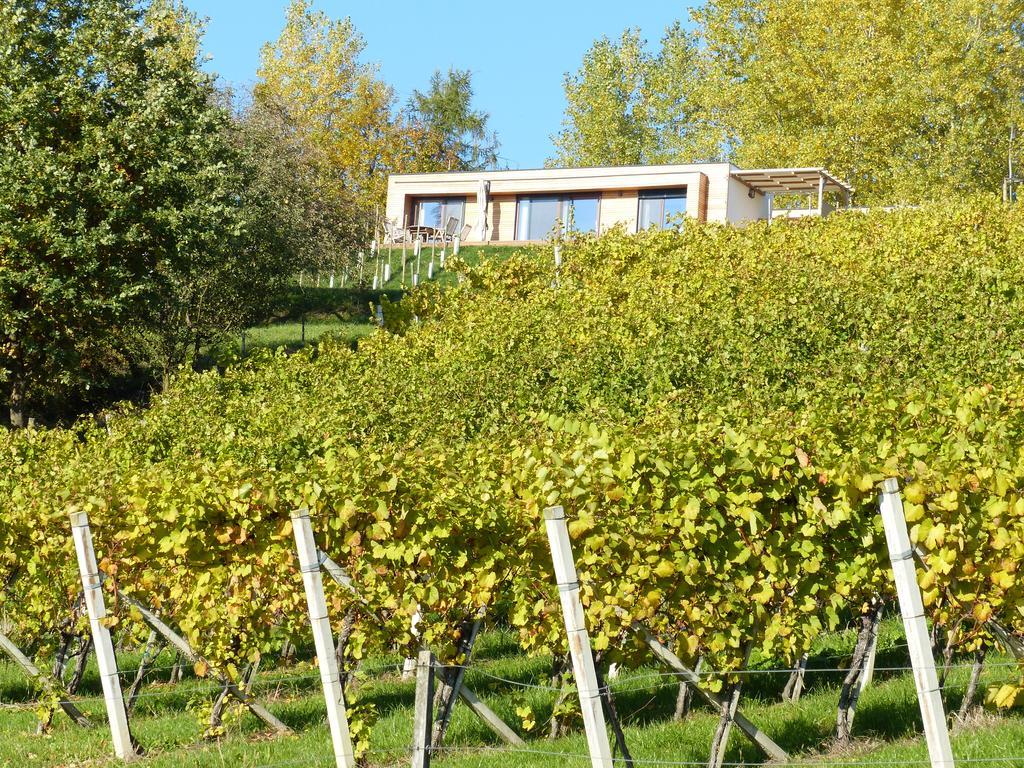 Weingarten-Resort Unterlamm Loipersdorf - Adults Only מראה חיצוני תמונה